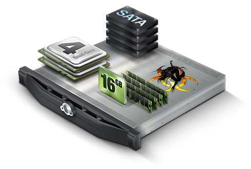 Dedicated servers